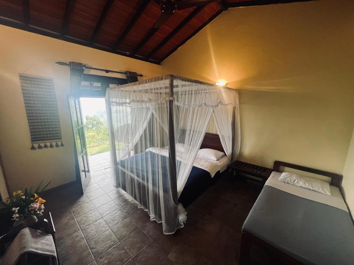 Ambiente Guest House Ела Екстериор снимка